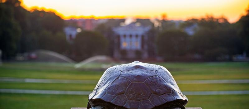 View of Mckeldin Mall from Testudo's point of view