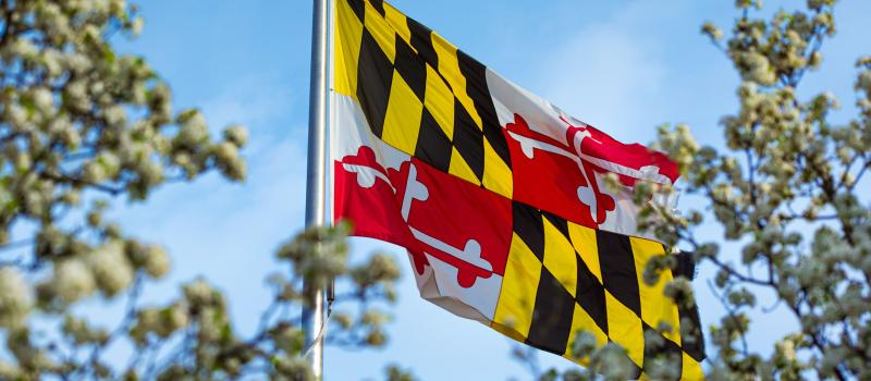 Maryland Flag